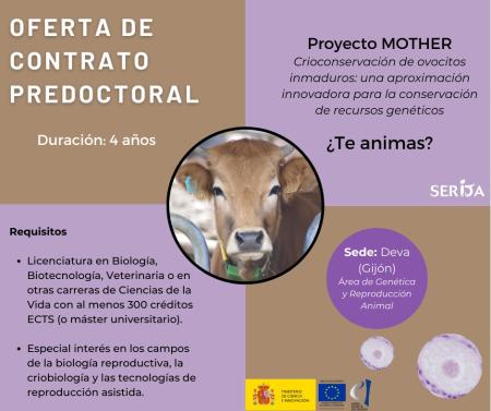 Imagen Oferta Contrato Predoctoral SERIDA
