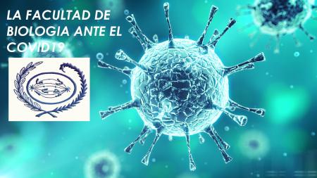 Image Información COVID-19