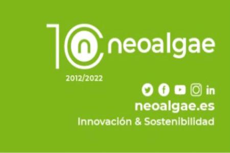 Imagen Plaza financiada por el programa INVESTIGO