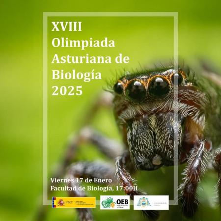 Imagen OLIMPIADA ASTURIANA 2025